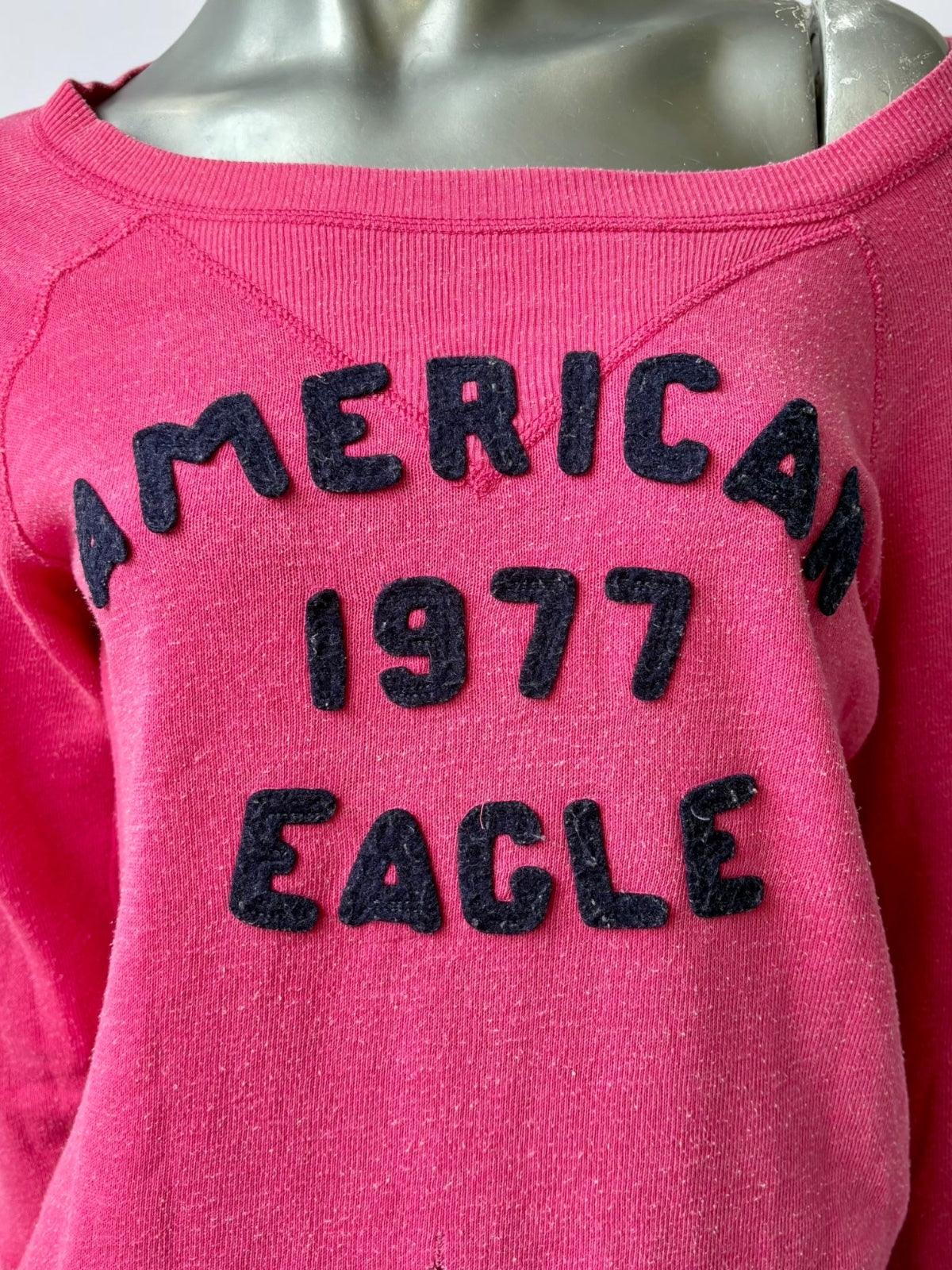 Vintage American Eagle pink sweatshirt felt lettering detail